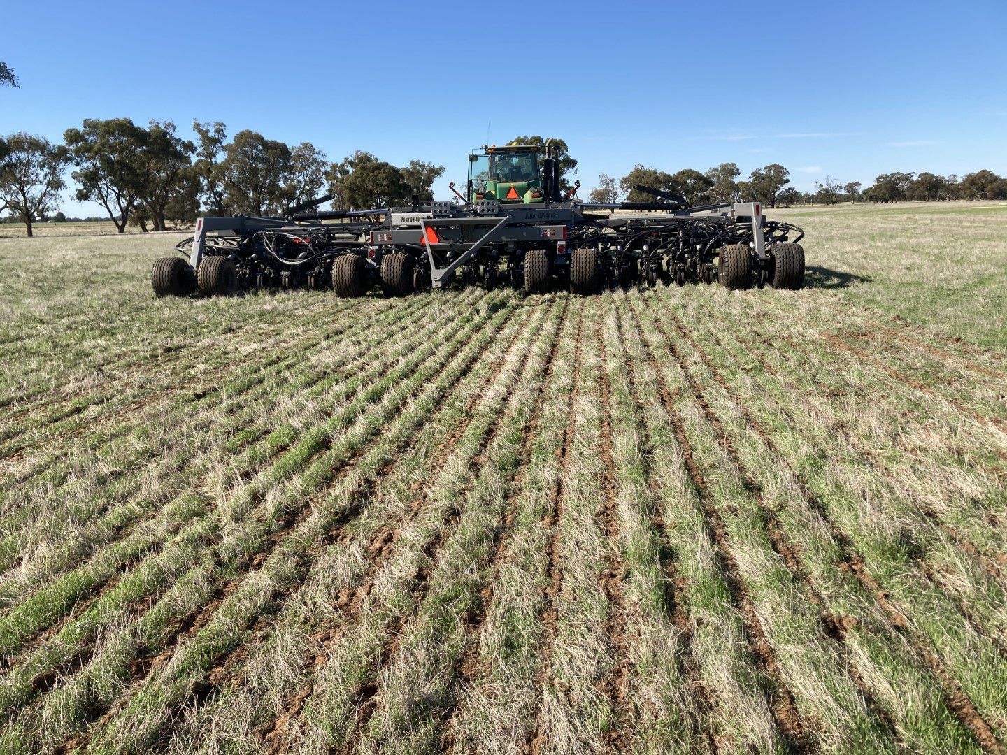 Pillar Disc Seeder Beulah Machinery